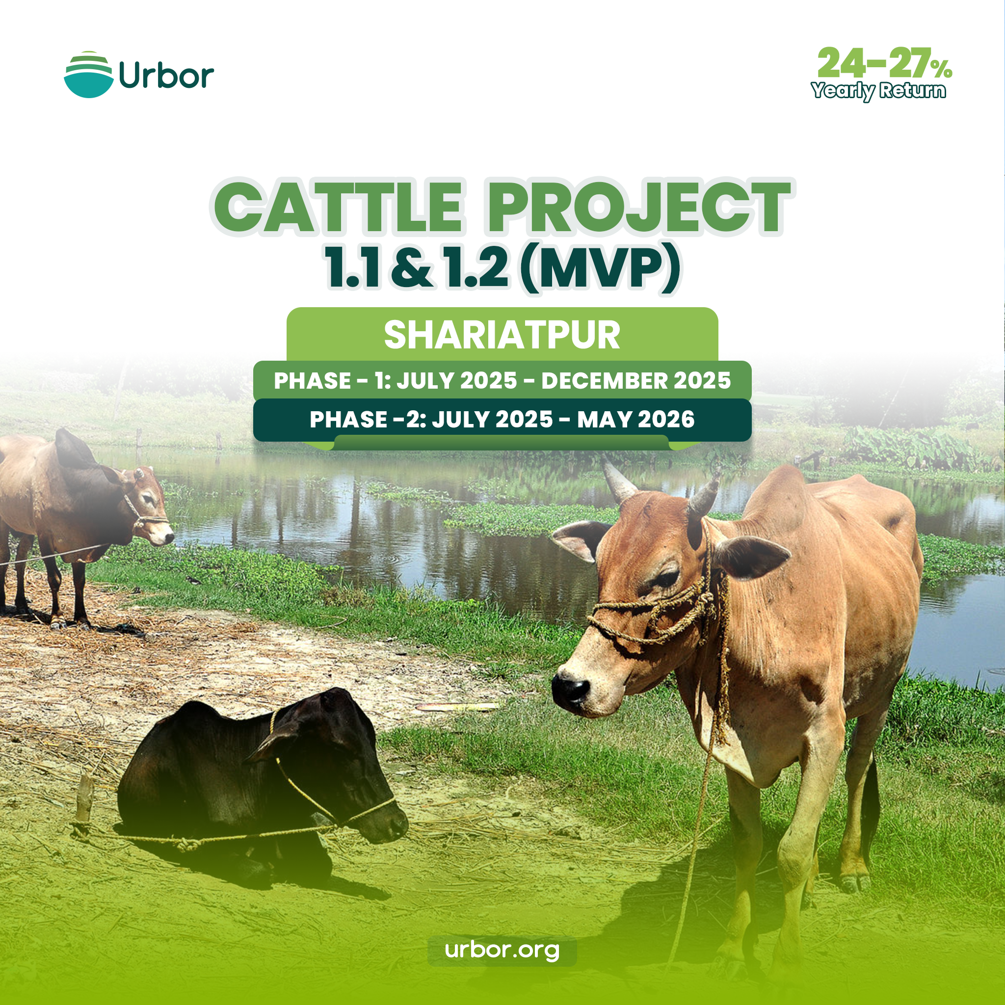 Cattle Project