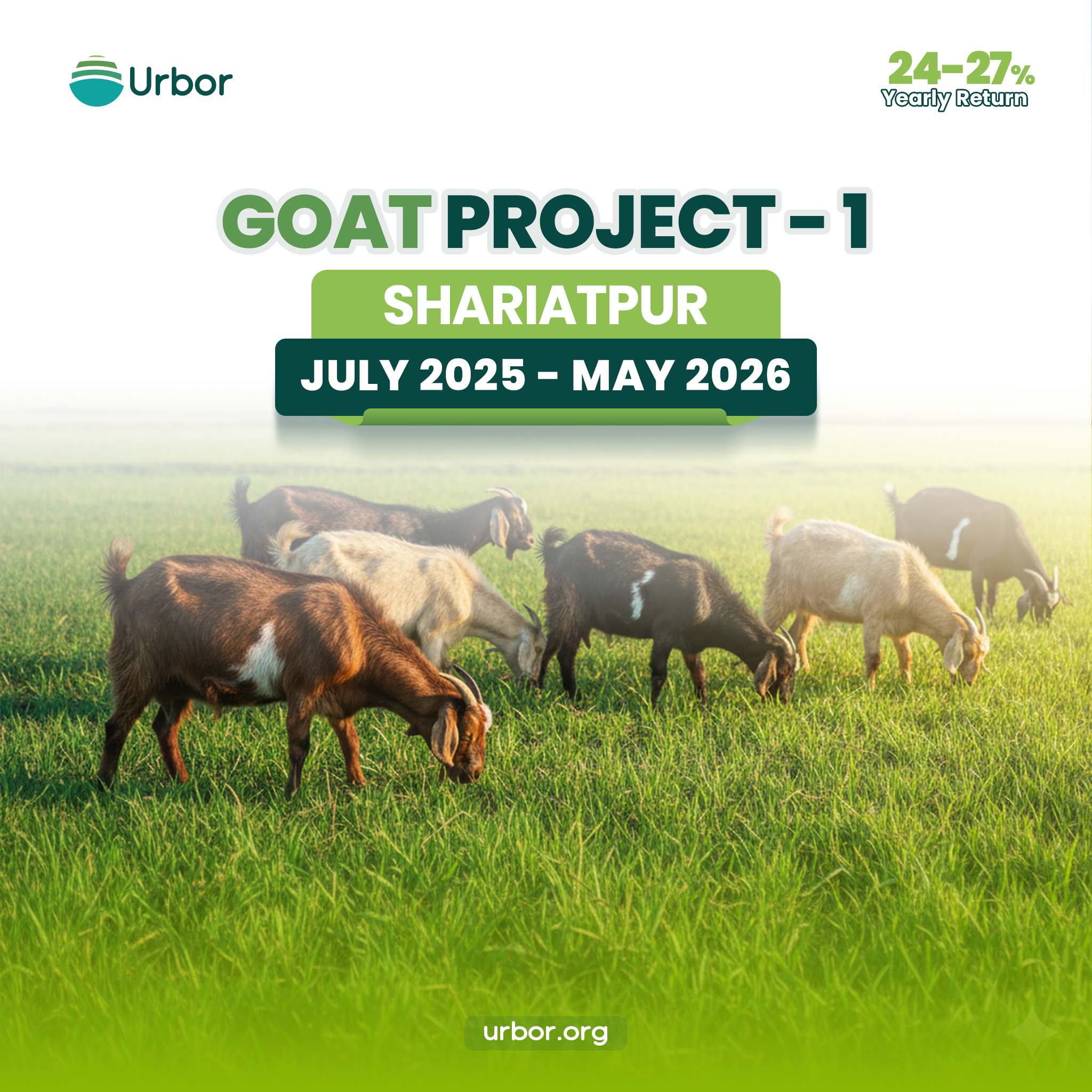 Goat Project